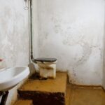 Chernivtsi Ukraine Shelters – toilet and sink – Vitaly Book