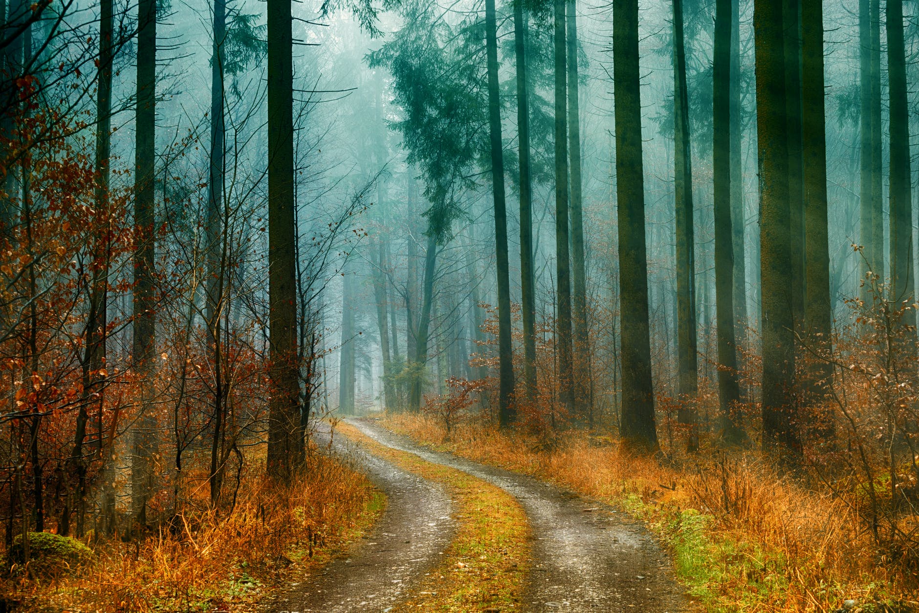 Where Do I Go Poem